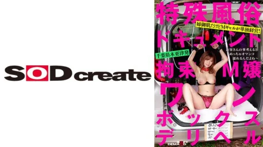 107SDHS-038 Restraint Masochist One Box Delivery Health Rika Tsubaki